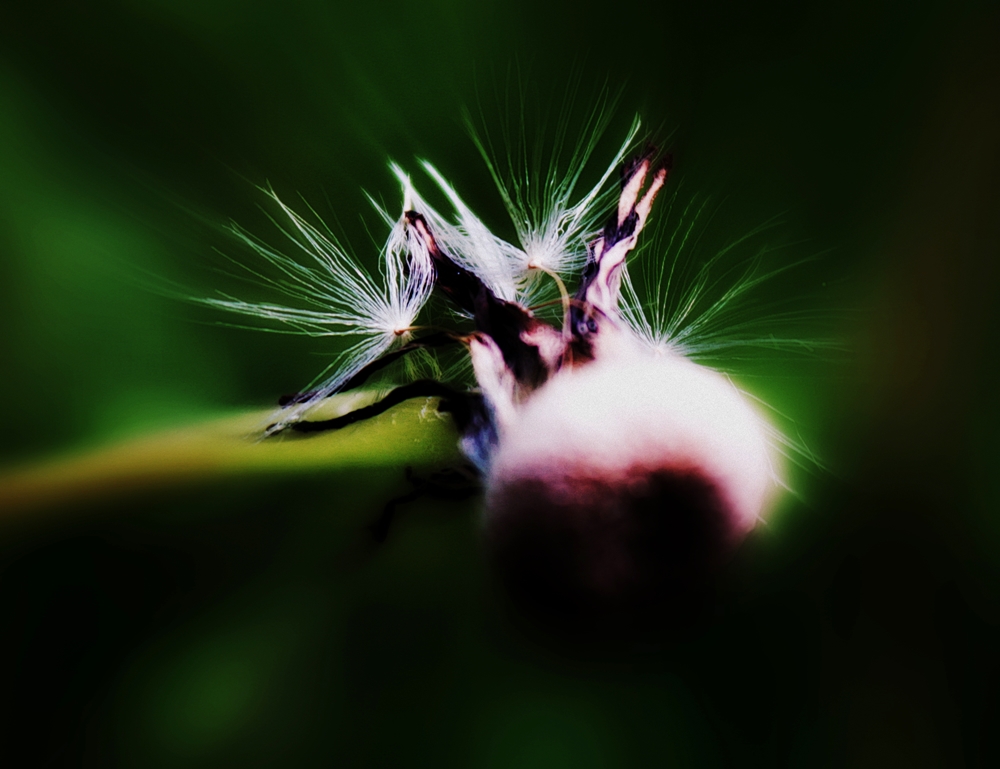 Licht 9