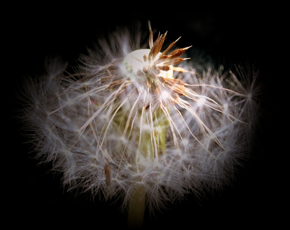 Licht 12