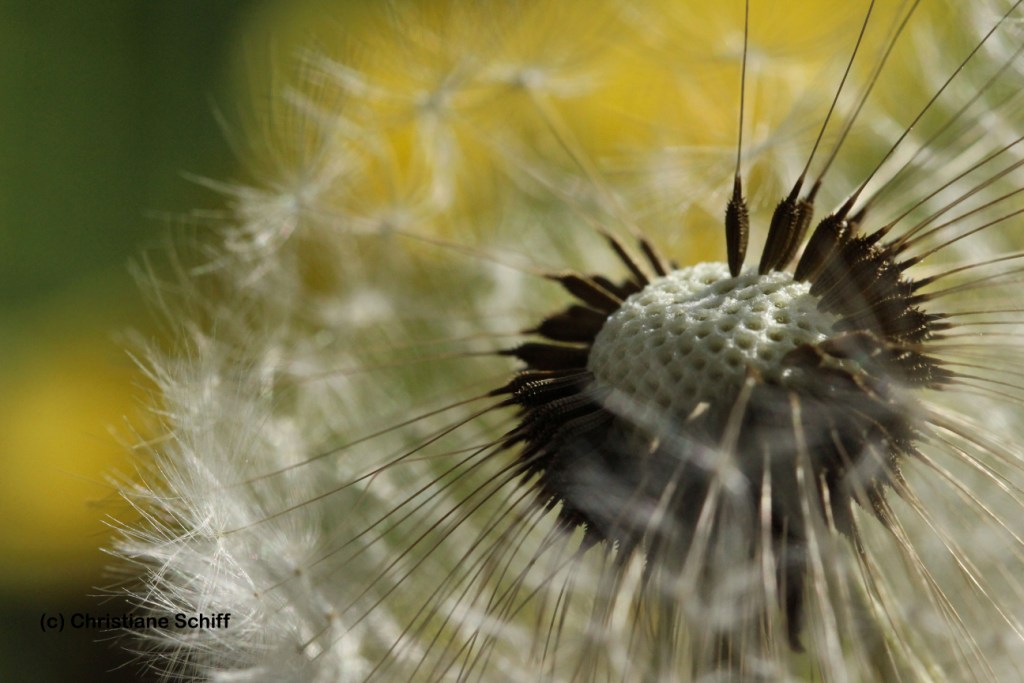 Ballerinas vor dem Abflug