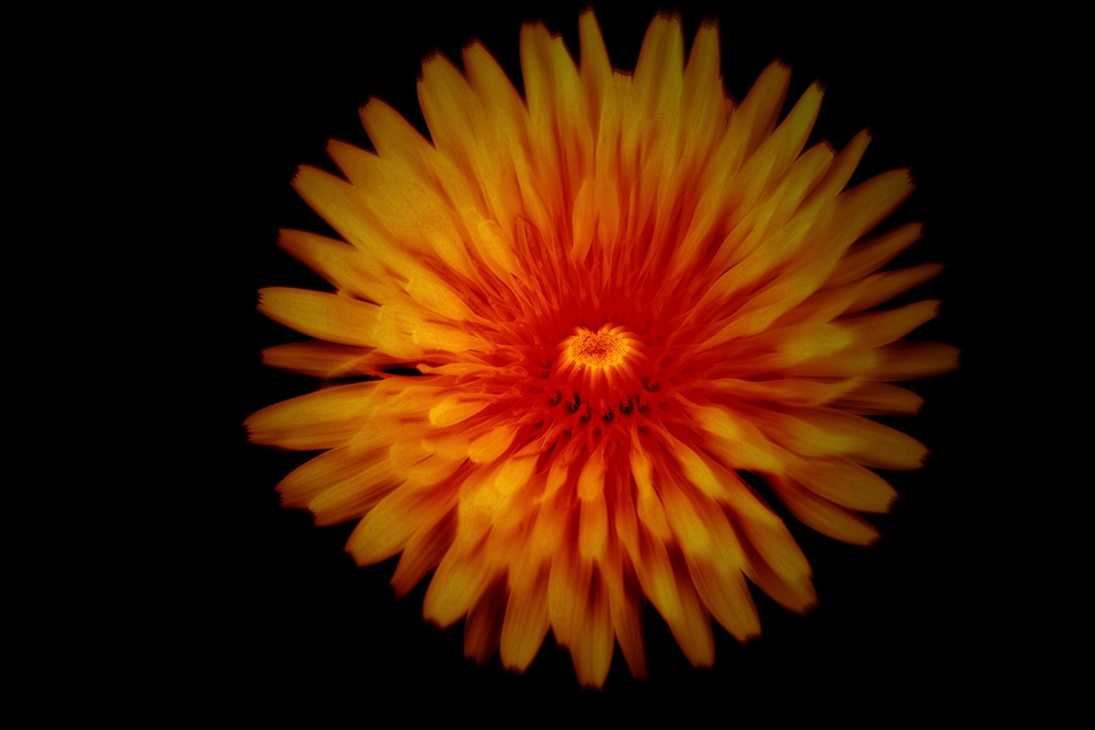 Flamme 1