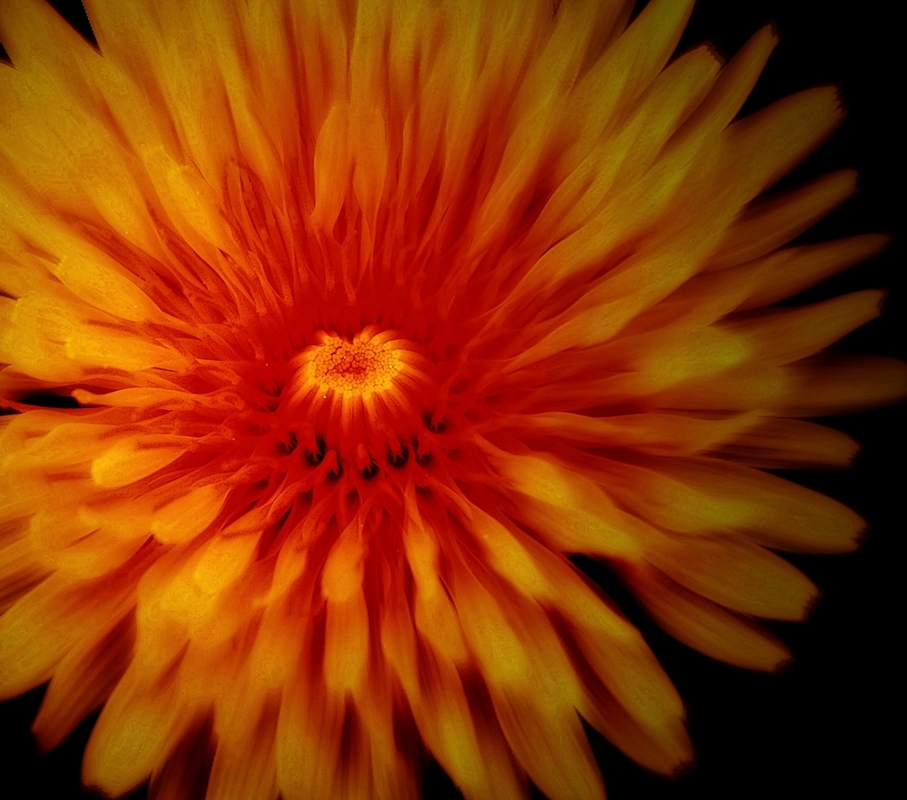 Flamme 2