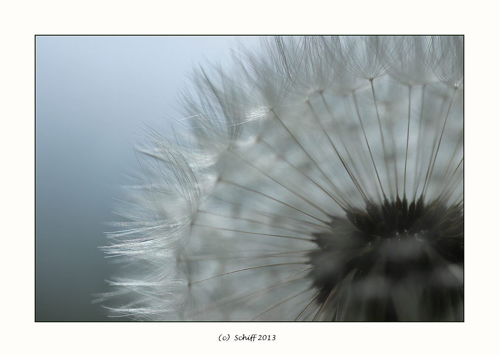 Noch so vollkommen...