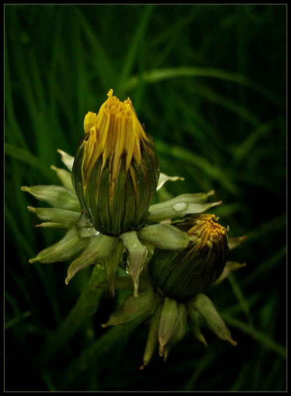 Es muss nicht immer offen sein