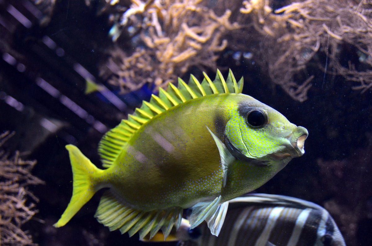 nerv mich nicht.....