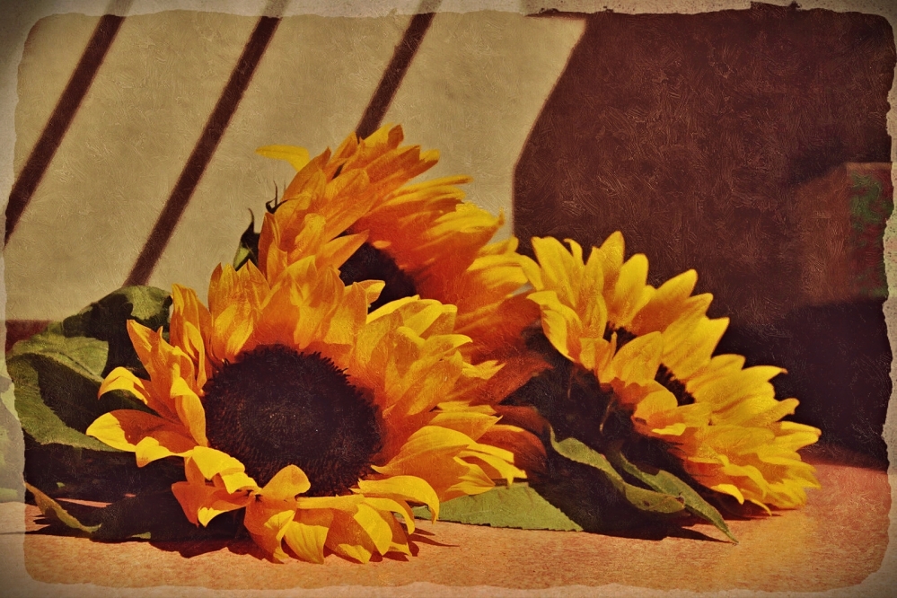 Sonnenblumen