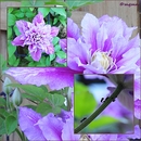 Mir war gestern so Langweilig ..