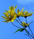 Nachruf an den Sommer