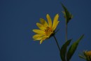 Ein Lichtblick