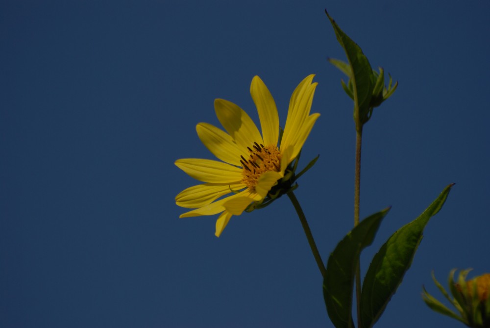 Ein Lichtblick