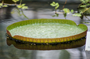 Botanischer Garten