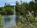 Stadtpark-See!