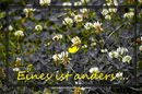Anders ...