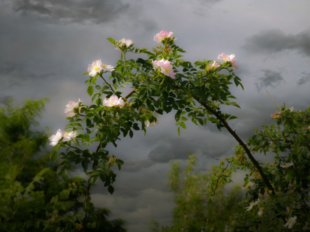 es war einmal......so beginnt jedes Märchen