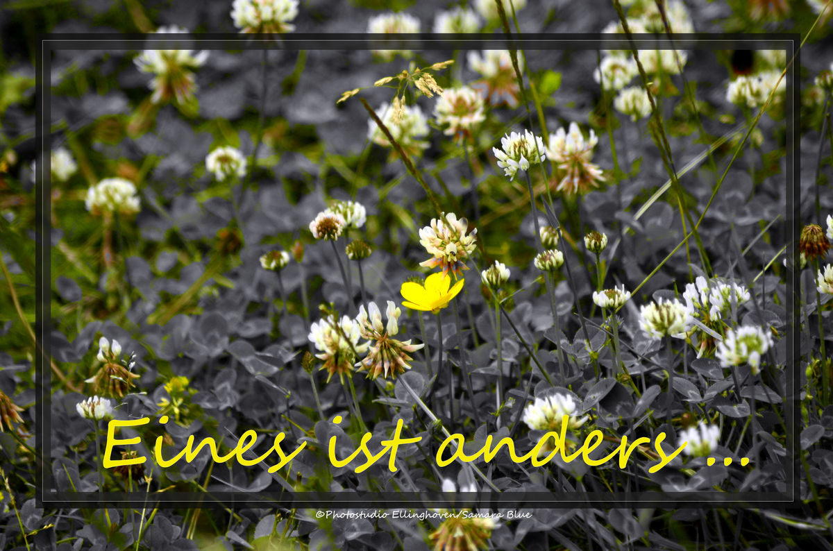 Anders ...