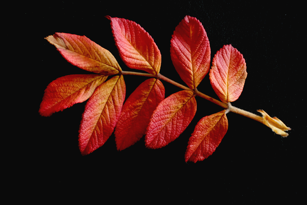Farbe