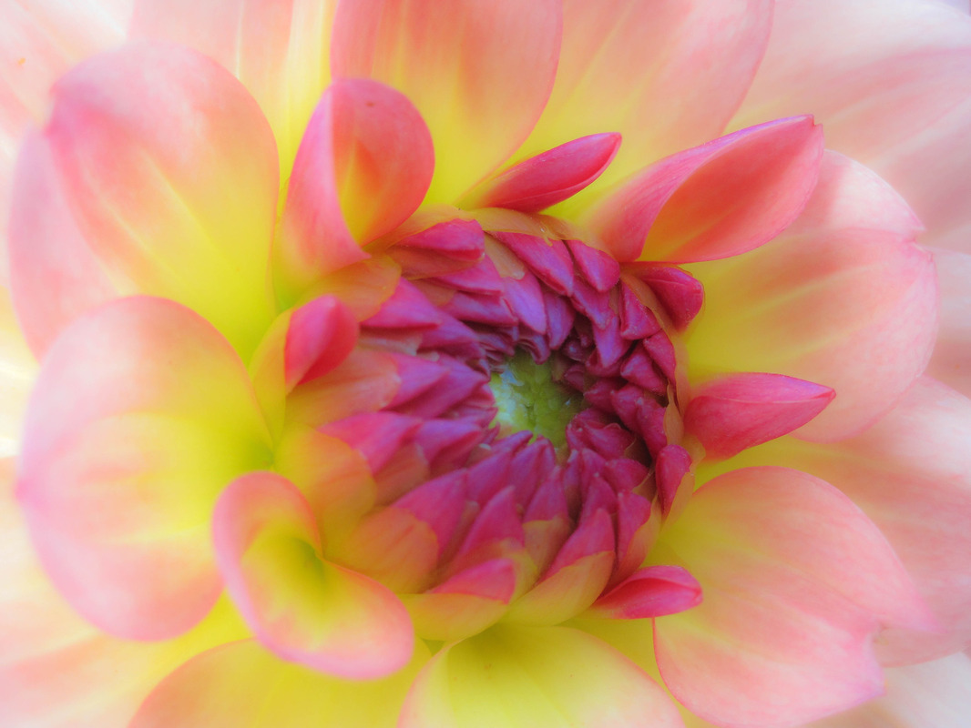 Sonnenaufgang im Bauerngarten