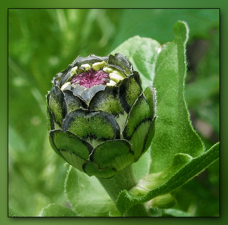 mit viel Kraft und Sonne