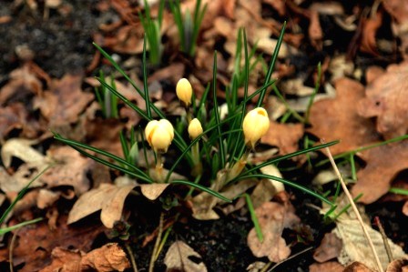 ist der Winter vorbei ?