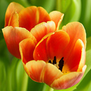... brauch Farbe
