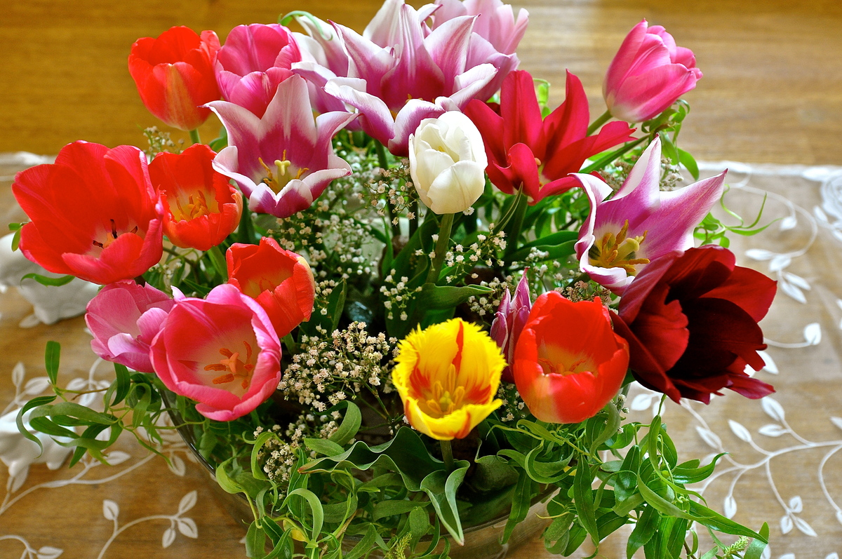 tulpen