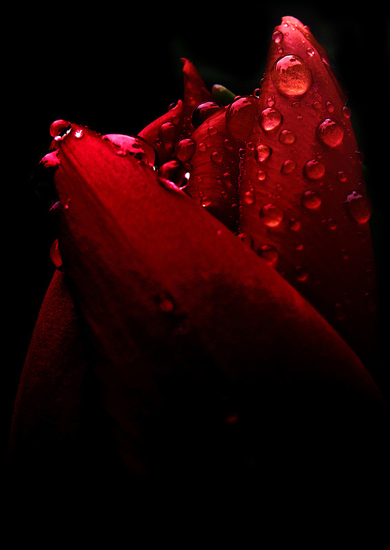 Wenn es Nacht wird...