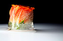 Die Eisrose