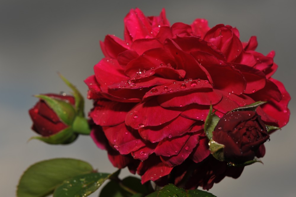 Nach einem Regenschauer