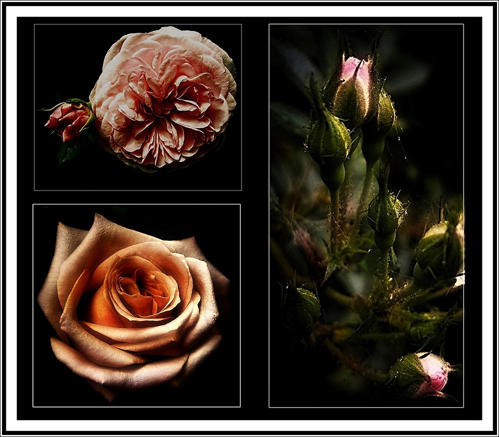 Schönes Wochenende!