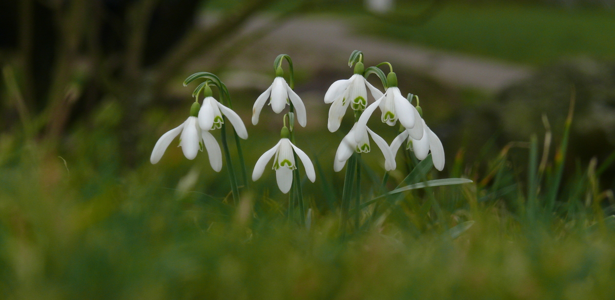 Es ist noch nicht vorbei ..........mit dem Winter