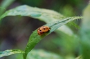 Fotos_Tierspuren