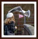 Angriff auf das Brot......