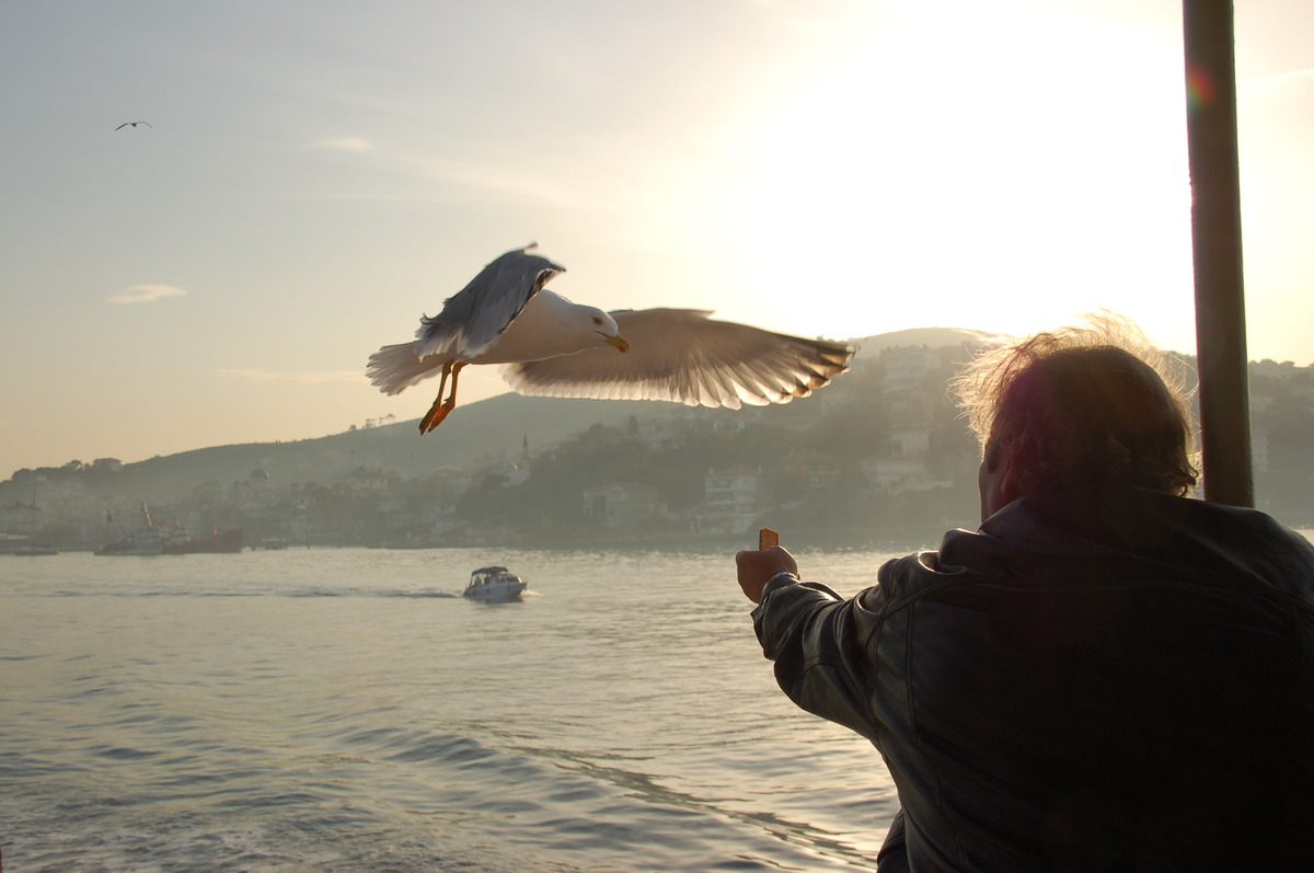 Von einem Freund ...Möwe..... 