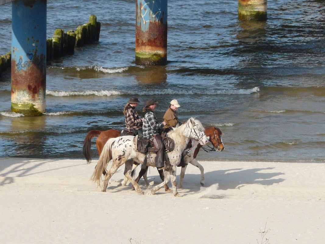 Die "Strandläufer" von Bansin