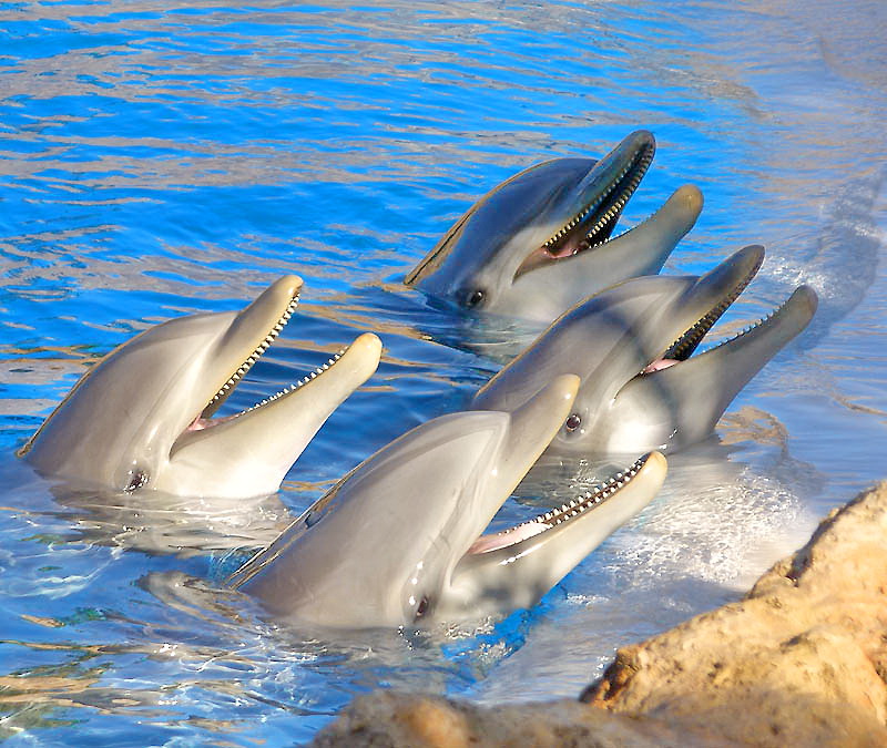 Lach mal wieder ....