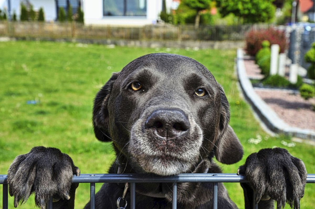 Meine beste Freundin