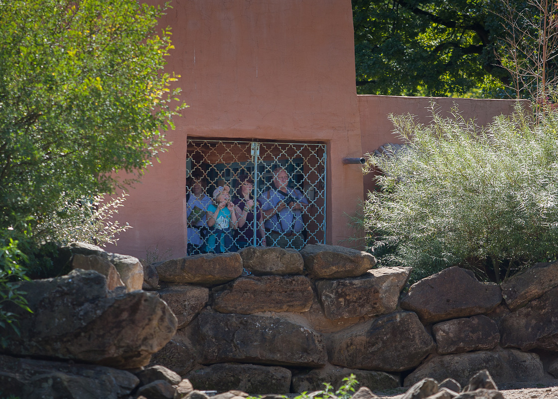 Heute im Zoo Hannover...