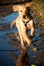 Fotos_Tierkinder