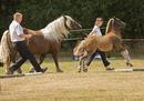 Fotos_Tierkinder