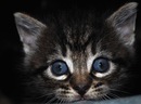 Fotos_Tierkinder