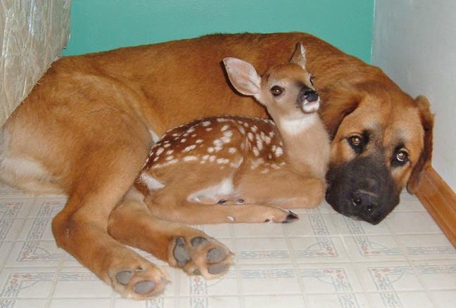 Ich pass auf dich auf 