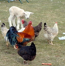 wer seid ihr denn....