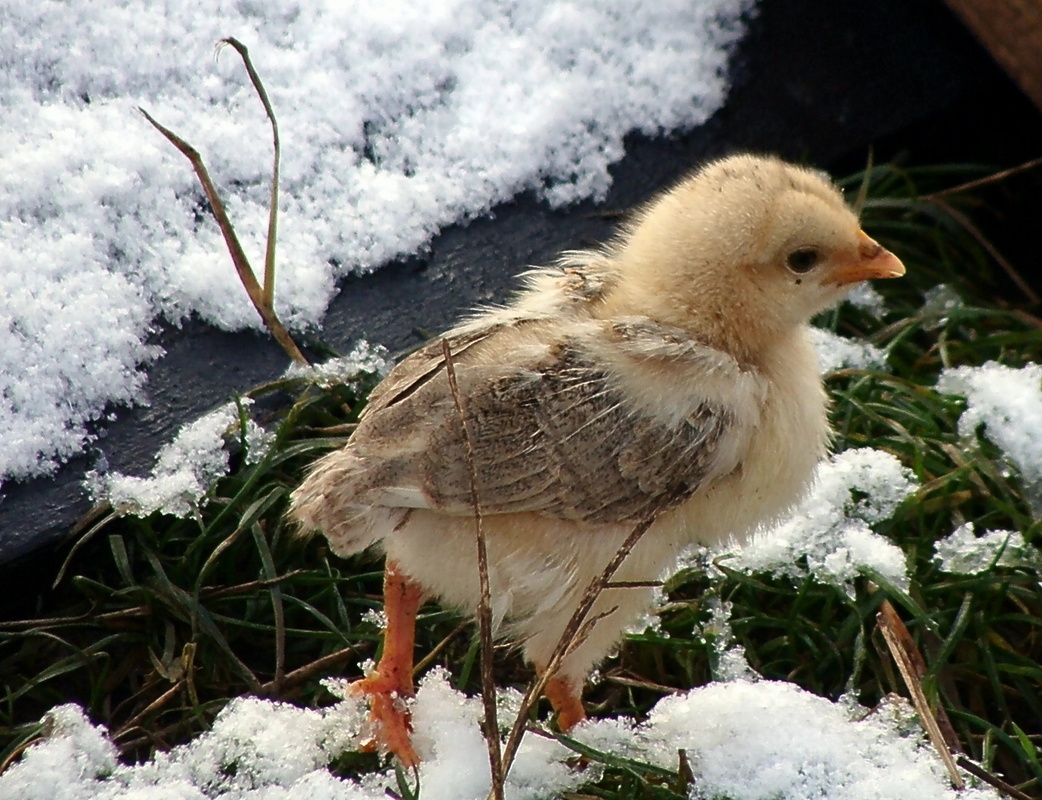 hoffentlich wird es nich so kalt an die füßchen