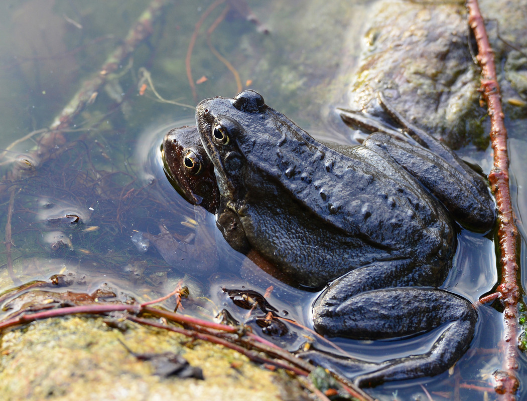 Der Frühling ist da ...;-)