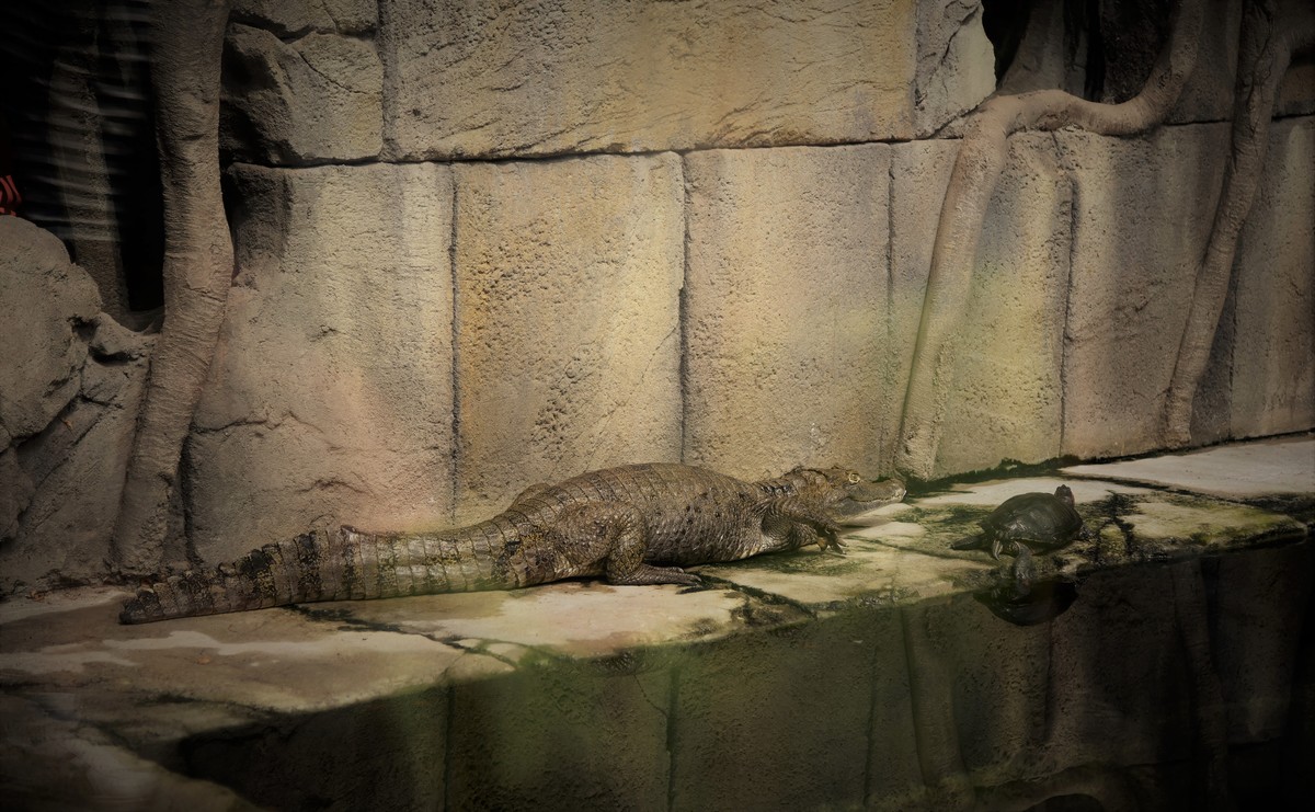 willst du mein Freund sein?