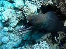 Fotos_Fische
