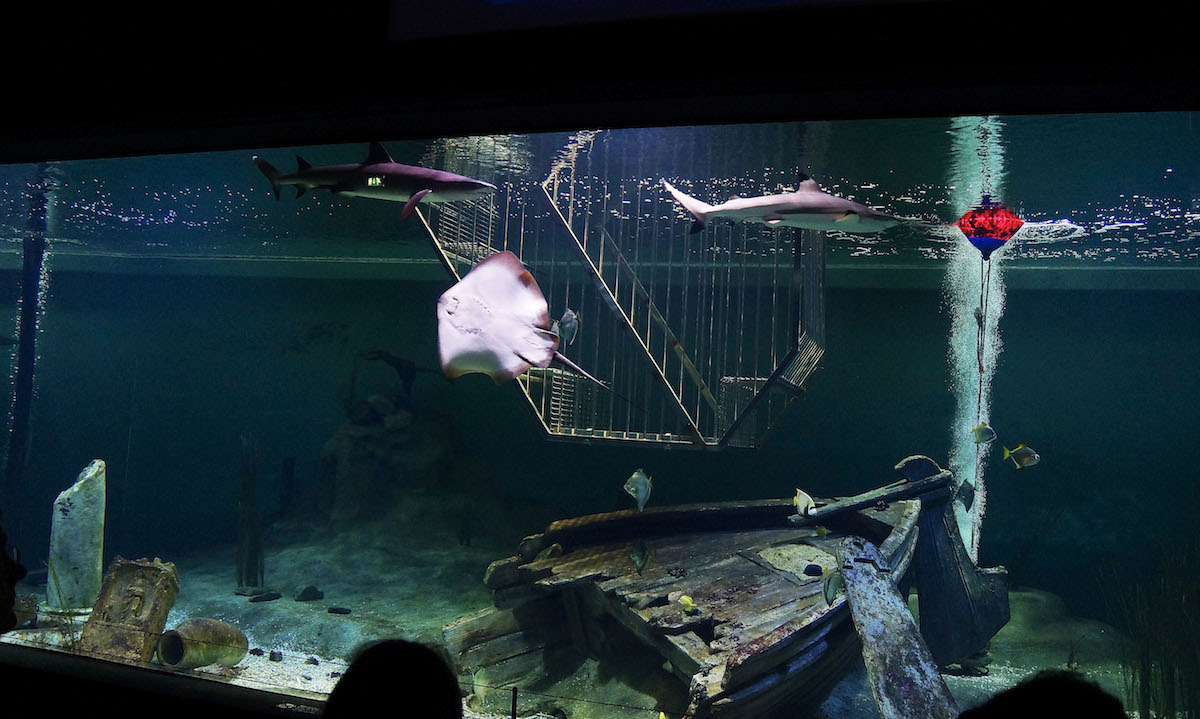 versuche ohne  Blitz 