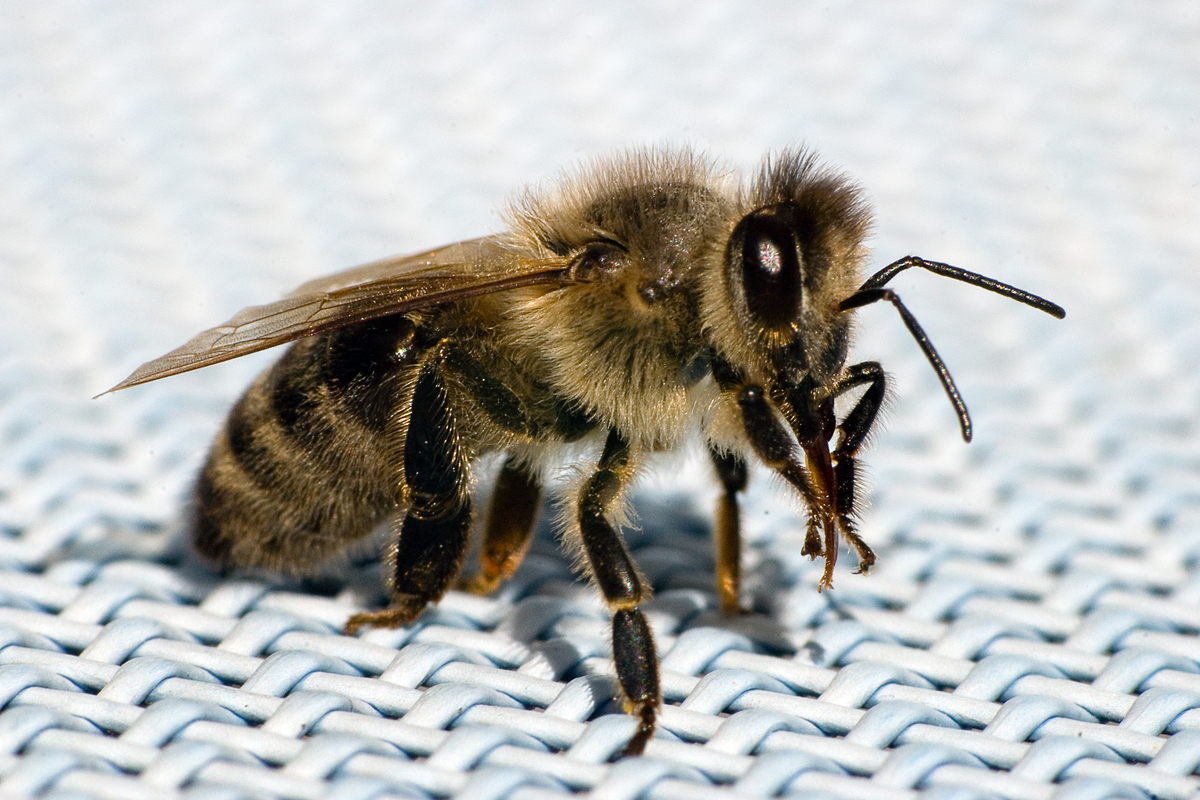 Mir wurde der Sitzplatz geklaut....