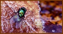 Etwas Farbe
