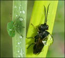 Im Regenschauer