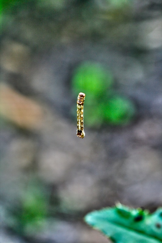 Schwerelos II.